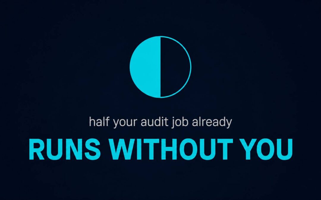 Pattern Chaser newsletter thumbnail: a half-filled cyan circle and the line half your audit job already runs without you, on future-ready auditor skills